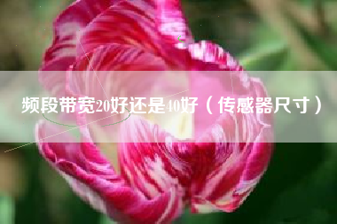 频段带宽20好还是40好（传感器尺寸）