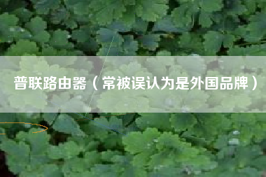 普联路由器(常被误认为是外国品牌)