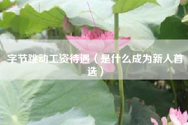 字节跳动工资待遇（是什么成为新人首选）