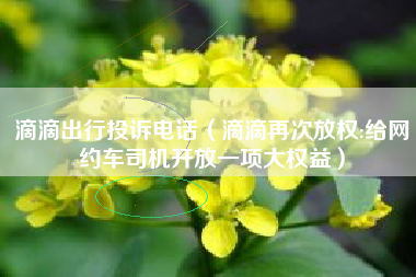 滴滴出行投诉电话（滴滴再次放权:给网约车司机开放一项大权益）