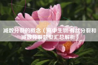 减数分裂的概念(高中生物:有丝分裂和减数分裂题型汇总解析)