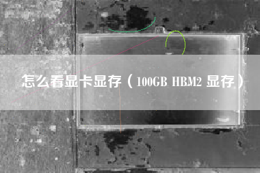 怎么看显卡显存（100GB HBM2 显存）