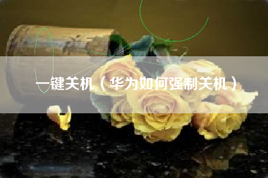 一键关机（华为如何强制关机）