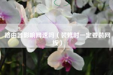 路由器影响网速吗（装修时一定要装网线）