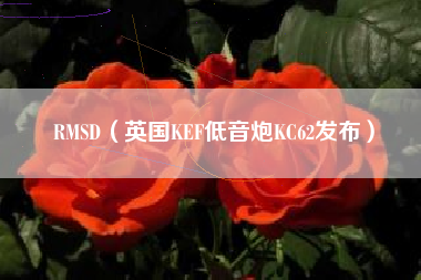 RMSD(英国KEF低音炮KC62发布)
