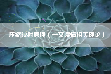 压缩映射原理（一文读懂相关理论）