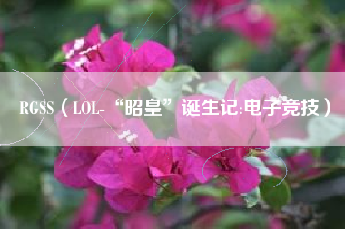 RGSS(LOL-“昭皇”诞生记:电子竞技)