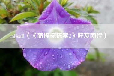 callcall(《萌探探探案2》好友团建)