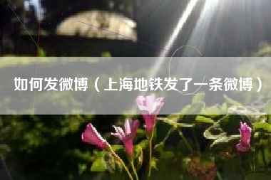 如何发微博（上海地铁发了一条微博）