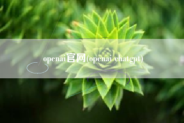 openai官网(openai chatgpt)