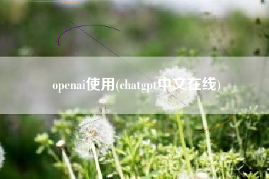 openai使用(chatgpt中文在线)