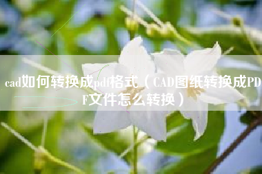 cad如何转换成pdf格式（CAD图纸转换成PDF文件怎么转换）
