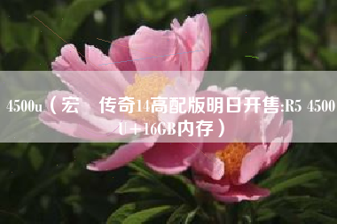 4500u（宏碁传奇14高配版明日开售:R5 4500U+16GB内存）