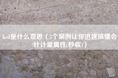 bcd是什么意思（5个案例让你迅速搞懂会计计量属性(秒收)）
