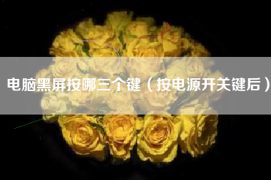 电脑黑屏按哪三个键（按电源开关键后）