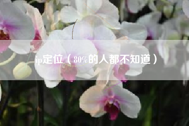 ip定位（80%的人都不知道）