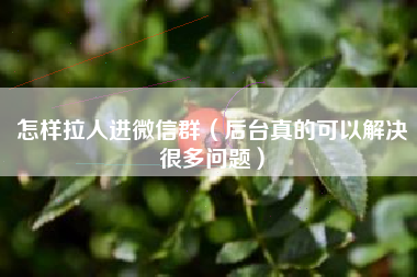 怎样拉人进微信群（后台真的可以解决很多问题）