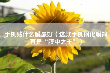 手机贴什么膜最好（这款手机钢化膜简直是“膜中之王”）