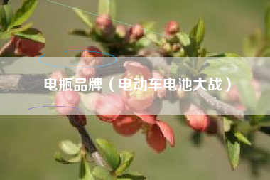 电瓶品牌（电动车电池大战）