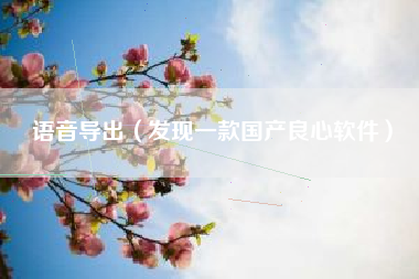 语音导出（发现一款国产良心软件）