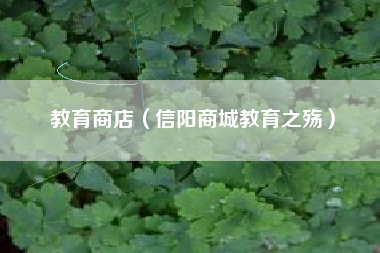 教育商店(信阳商城教育之殇)