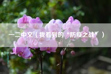 一二中文(我看到的“防疫之战”)