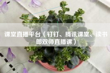 课堂直播平台（钉钉、腾讯课堂、读书郎双师直播课）