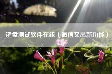 键盘测试软件在线（微信又出新功能）
