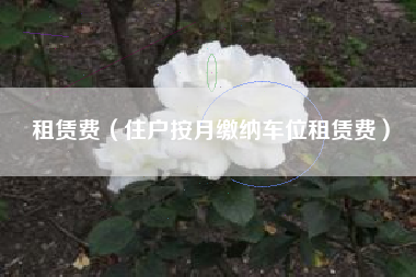 租赁费（住户按月缴纳车位租赁费）