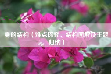 身的结构(难点探究、结构图解及主题归纳)