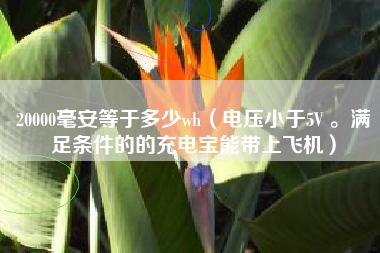 20000毫安等于多少wh（电压小于5V 。满足条件的的充电宝能带上飞机）