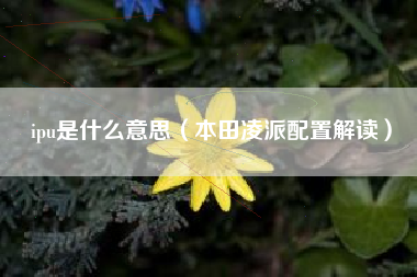 ipu是什么意思（本田凌派配置解读）
