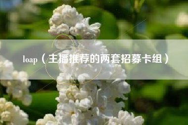 loap（主播推荐的两套招募卡组）