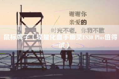 鼠标牌子（轻量化血手幽灵ES30 Plus值得一试）