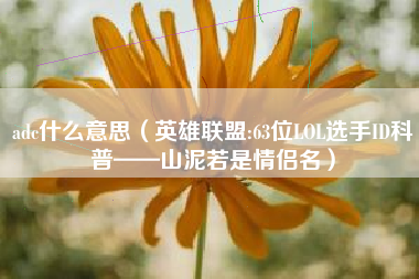 adc什么意思（英雄联盟:63位LOL选手ID科普——山泥若是情侣名）