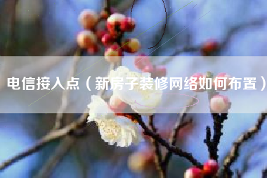 电信接入点（新房子装修网络如何布置）