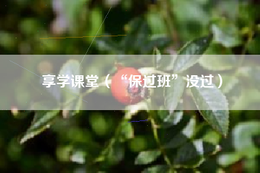 享学课堂（“保过班”没过）