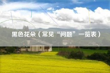详细阅读:黑色花朵(常见“问题”一览表) 黑色花朵(常见“问题”一览表)
