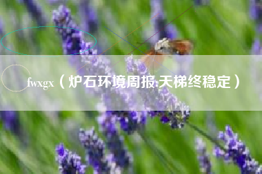 fwxgx（炉石环境周报:天梯终稳定）