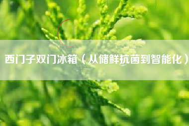 西门子双门冰箱（从储鲜抗菌到智能化）
