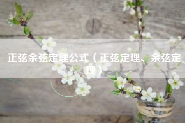 正弦余弦定理公式（正弦定理、余弦定理）