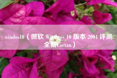 windos10（微软 Windows 10 版本 2004 评测:全新Cortan）