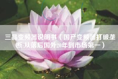 三晶变频器说明书（国产变频器打破垄断:从落后国外20年到市场第一）