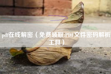 pdf在线解密（免费领取:PDF文件密码解析工具）