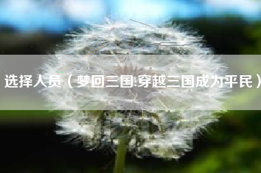 选择人员(梦回三国:穿越三国成为平民)