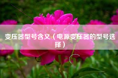 变压器型号含义（电源变压器的型号选择）