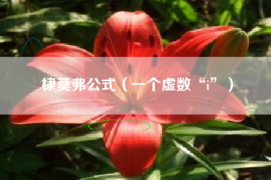 棣莫弗公式(一个虚数“i”)