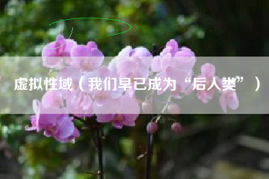 虚拟性域（我们早已成为“后人类”）