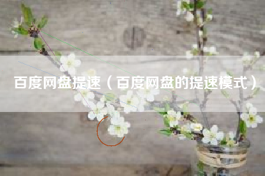 百度网盘提速（百度网盘的提速模式）
