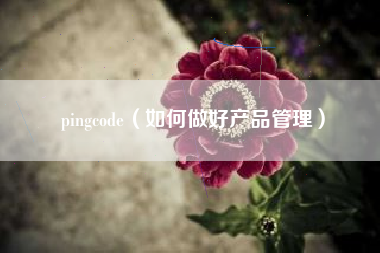 pingcode(如何做好产品管理)